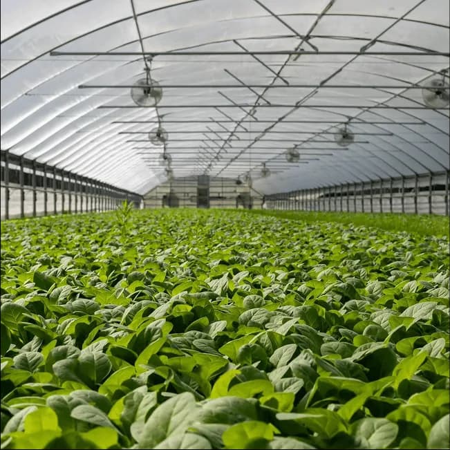 Smart Water Management