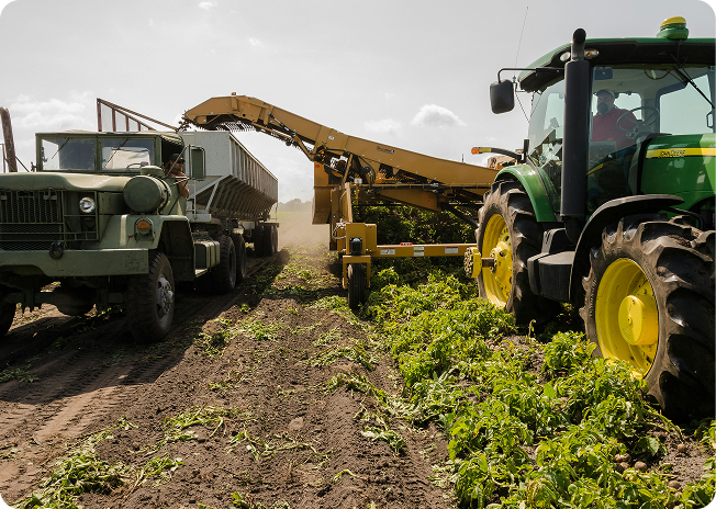 Smart Farming Revolution