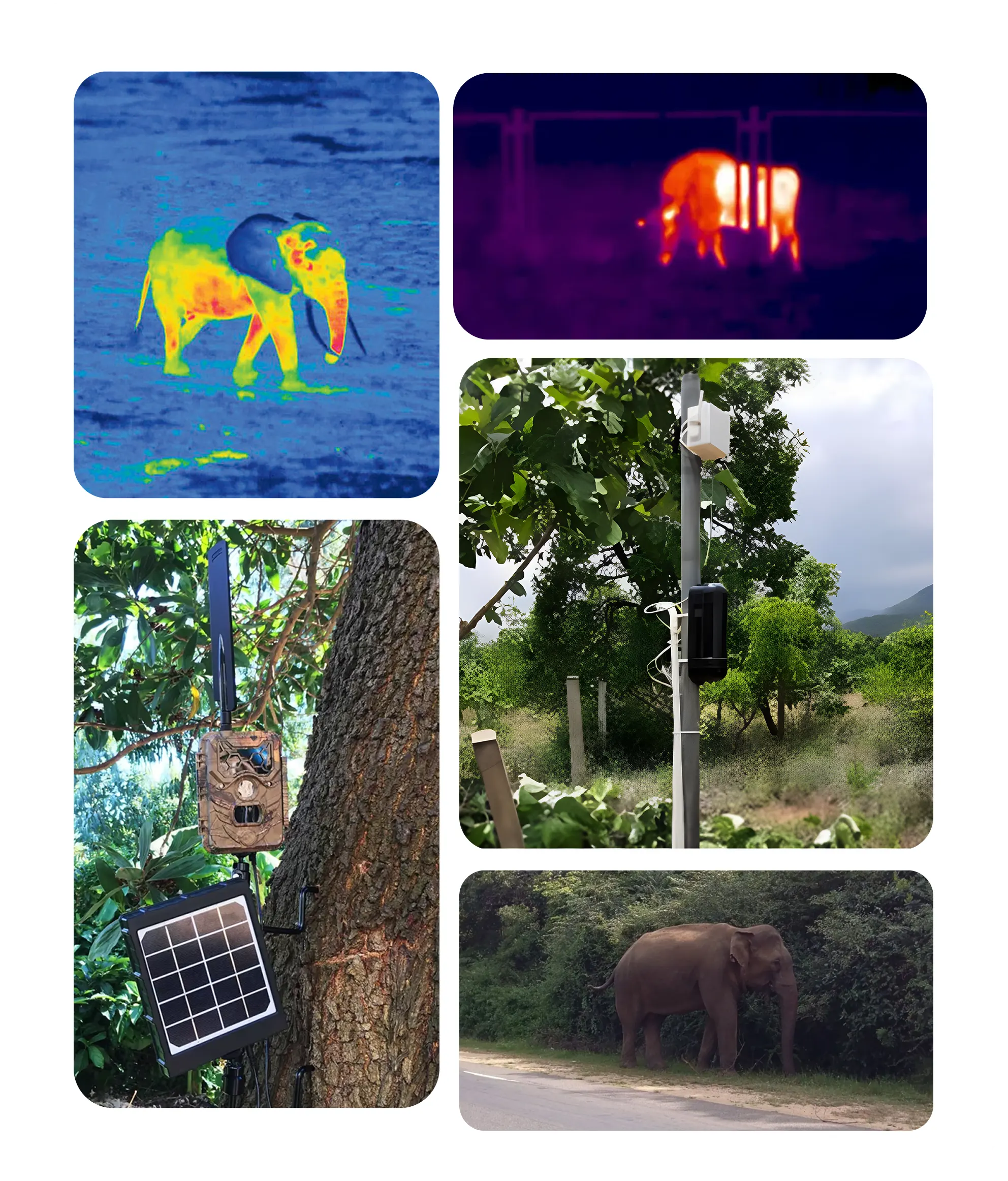 lorawan architecutre